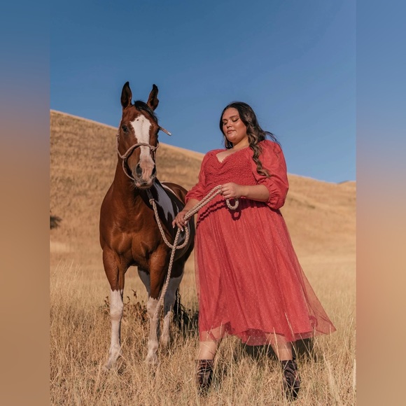 BNWT Love Spell Tulle Dress in Raspberry by JessaKae size 3x - Picture 1 of 6